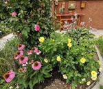 IMG_20210727_121412.png