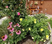 IMG_20210727_121412.webp