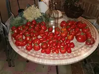 IMG_20210906_211622.webp