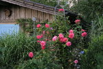 Sept.    0421.JPG