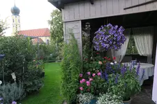 Terasse     3121.webp