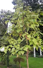 20210907_200440.webp