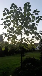 20210907_200555.webp