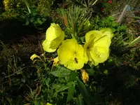 DSC02027.webp