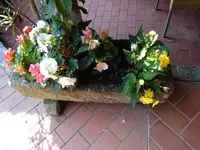 DSC02033.webp