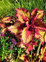 IMG_20210907_143152_1.webp