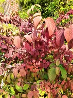 IMG_20210907_151553.webp