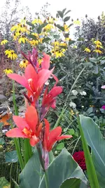 20210906_190345.webp