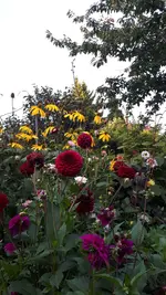 20210906_190333.webp