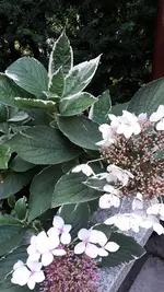 20210906_191701.webp