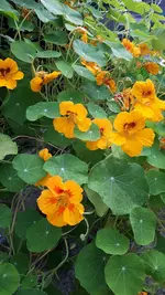 20210906_190144.webp