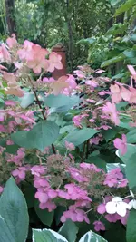 20210906_191652.webp