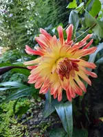 20210908_144203.webp