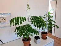 20210908_163828.webp 20210908_163828.webp