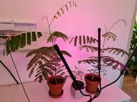 20210908_164002.webp 20210908_164002.webp