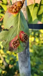 20210908_184640.webp