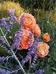 IMG_20210908_183813.jpg