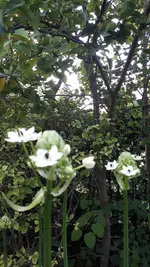 20210908_185710.webp