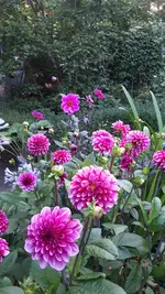 20210908_185604.webp