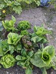 PXL_20210904_165526345.jpg