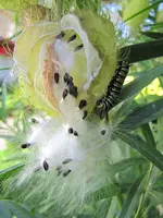IMG_2121 v (2).webp