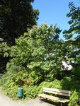 P1050100Sieben-Söhne-des-Himmels.JPG