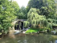 IMG-20210909-WA0008.jpg