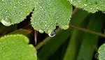 wassertropfen1.jpg