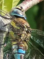 20210904_153756.webp