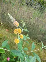 20210829_153303.webp