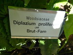 P1050152.JPG