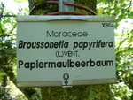 P1050168.JPG