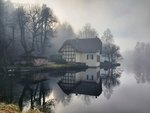 Nebel am Sägemühlweiher.jpg