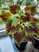 20210911_122151.webp