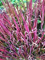 IMG_20210910_152609_1.webp