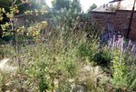 DSCN3634.JPG