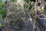 DSCN3636.JPG