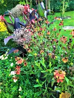 IMG_20210910_155645.webp