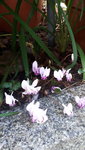 20210911_115146.jpg
