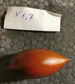 K1, 7.webp