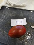 K1, 9.jpg