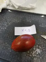 K1, 9.webp