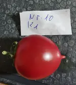 K1, 10.webp