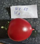 K1, 10.jpg