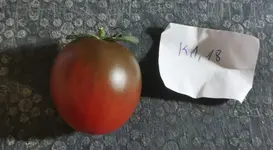 K1, 18.webp