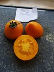 Orange Caprese.jpg