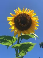 86DC714F-4653-4AFE-9E4E-C51C3C220C06.webp