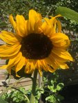 12981A9E-EEE4-4759-ACB1-D26023C9B88E.jpeg