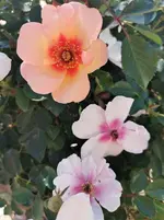 IMG_20210913_094629.webp