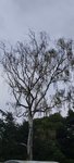 20210913_102820.jpg